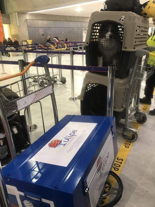 séisme turquie secours